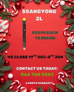 Ssangyong 2l Diesel Injectors Recon Services