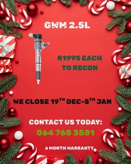 Gwm 2.5l Diesel Injectors For Recon