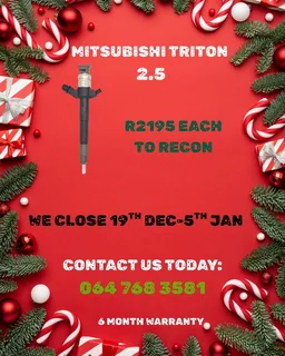 Mitsubishi Triton 2.5 Diesel Injectors Recon