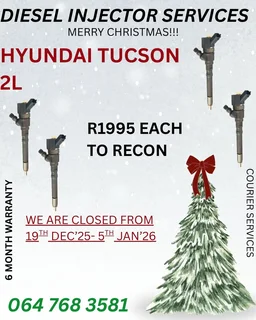 Hyundai Tucson 2l Diesel Injectors Sold On Exchange Or Recon Your Own