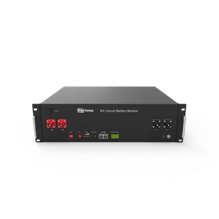 Dyness Lithium Ion Battery module B3 3.6kWh - Last of range