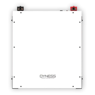 Dyness Battery Lithium Ion DL5.0C 5.12KWH 51.2V 100Ah