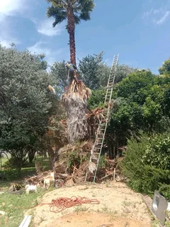 PRINCE TREE FELLERS 0849660849