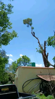 PRINCE TREE FELLERS 0849660849