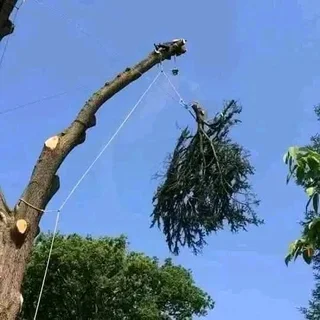 PRINCE TREE FELLERS 0849660849