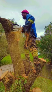 PRINCE TREE FELLERS 0849660849