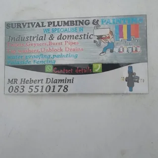 plumbing and painitng