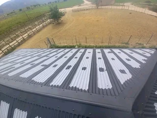 Rubber sealant waterproofing paint