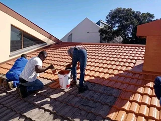 Roof painter