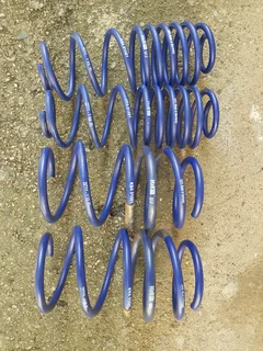 H&amp;R Drop Springs