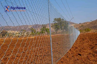 Welded Mesh Fence