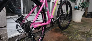 Pink Titan Racing Blaze 1.0 MTB – Excellent Condition!