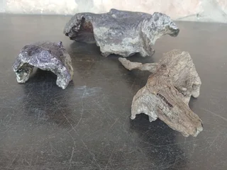 Aquarium Driftwood for sale in Assagay, Hillcrest