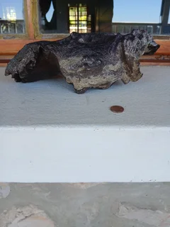 Aquarium Driftwood for sale in Assagay, Hillcrest