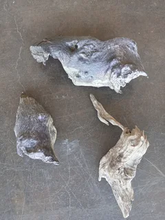 Aquarium Driftwood for sale in Assagay, Hillcrest