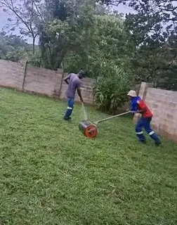 ALL SEASON EVERGREEN GRASS