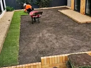 ALL SEASON EVERGREEN GRASS