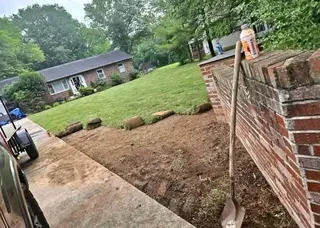 ALL SEASON EVERGREEN GRASS