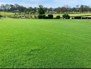 Instant Lawn