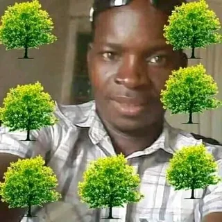 Excellent Gardener Available Here