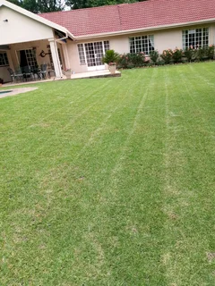 Excellent Gardener Available Here