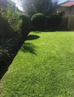 Once Off Yard &amp; Garden Trimming Maintenance