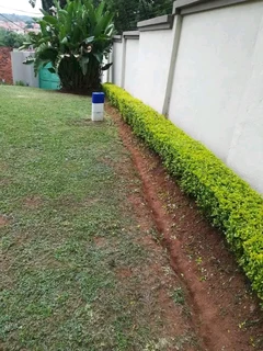 Once Off Yard &amp; Garden Trimming Maintenance