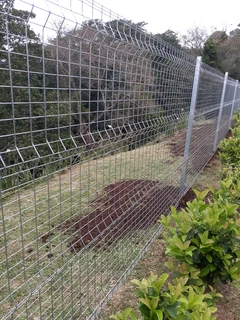 Clear View Fencing