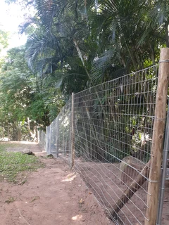 Welded Mesh Fencing