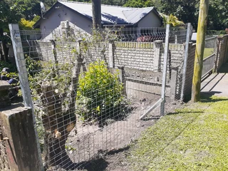 Clear View fencing