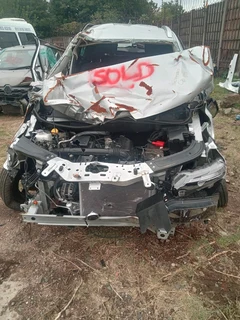 Renault Kiger Stripping