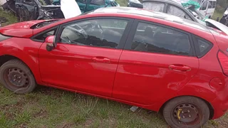 Ford Fiesta Stripping