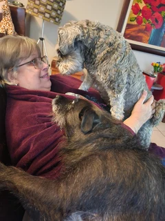 House/Pet-sitting - Ad posted by Zelda Anderson