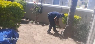 Lusa project and garden service