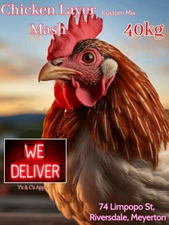 Chicken Layer Mash 40kg