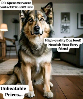 Premuim Dog Food Spoil Your Furry Friends.