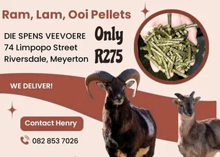 Ram Lam and Ooi Pellets for Healthy bucks goats and Sheep