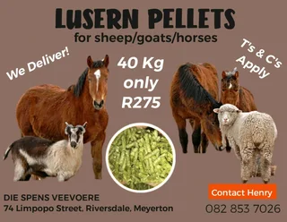 LUSERN PELLETS FOOD FOR YOUR HORSES GOATS AND SHEEP 40KG