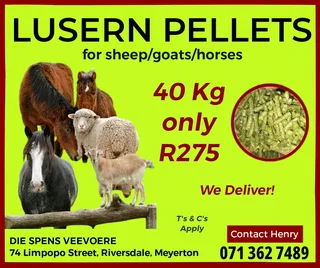 LUSERN PELLETS FOOD FOR YOUR HORSES GOATS AND SHEEP 40KG