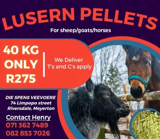 Lusern Pellets Food For Your Horses Goats And Sheep 40kg