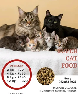 Spoil Your Feline Friends With Our Super Cat Food