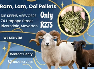 Ram Lam and Ooi Pellets for Healthy bucks goats and Sheep