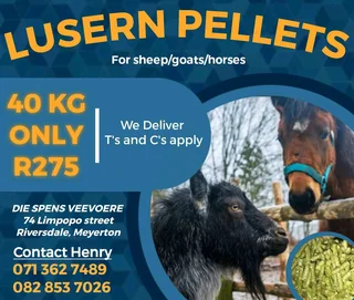 Lusern Pellets Food For Your Horses Goats And Sheep 40kg