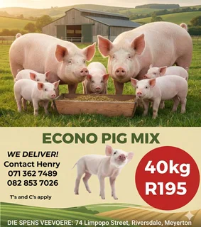 Pig Mix Econo 40kg Custom Mix Food For Your piggies