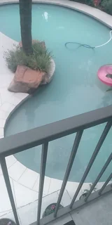 Gardener looking for work