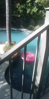 Gardener looking for work