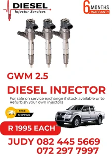 GWM 2.5L Diesel Injector