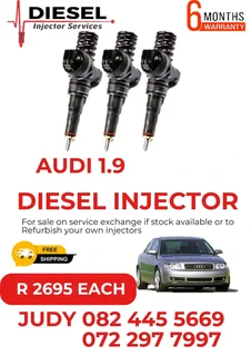 Audi 1.9 Diesel Injector
