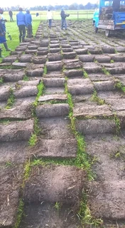 Grass fit and supply