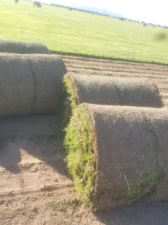 Grass fit and supply